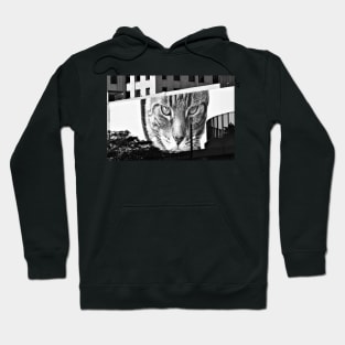 Detroit cat Hoodie